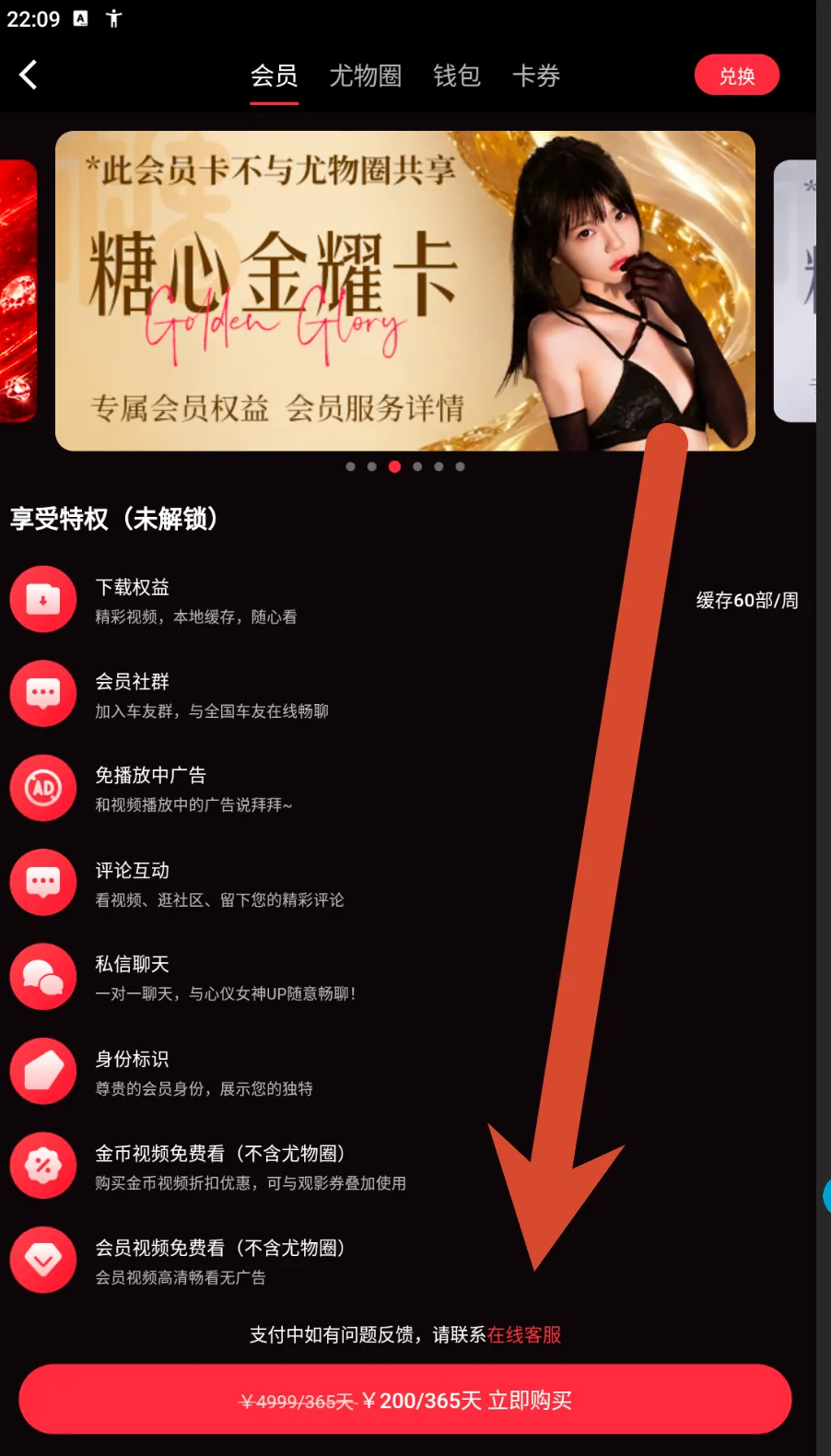 糖心金耀卡会员价格界面示例
